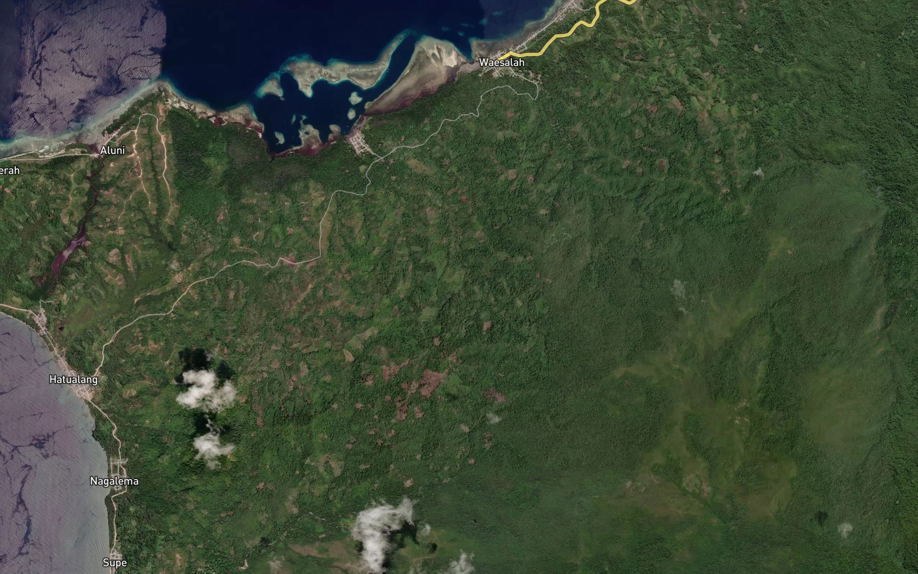 Satellite map of the Wai Wakena