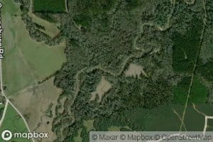 Cox Creek
