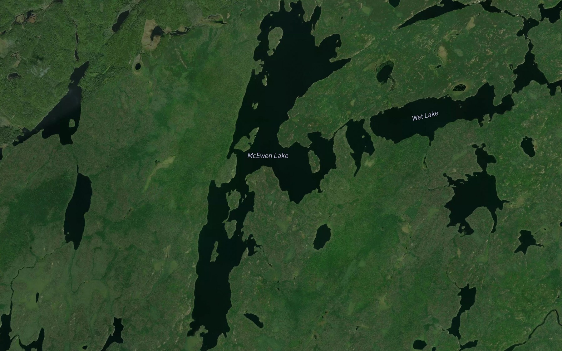 Satellite map of the McEwen Lake
