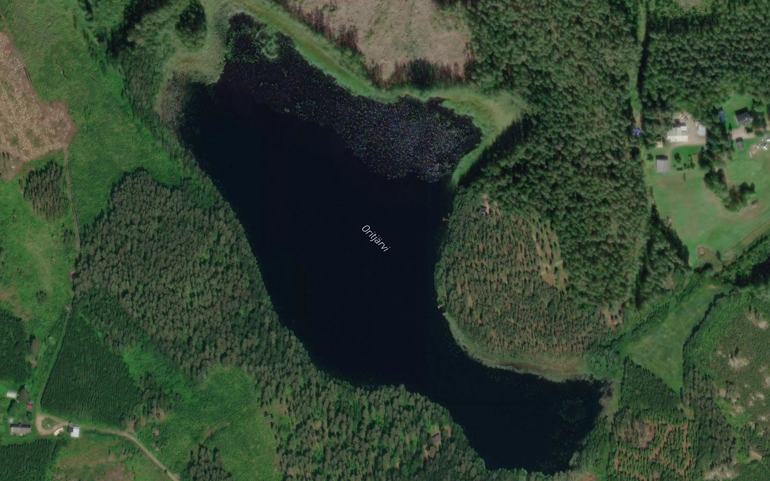 Oritjarvi