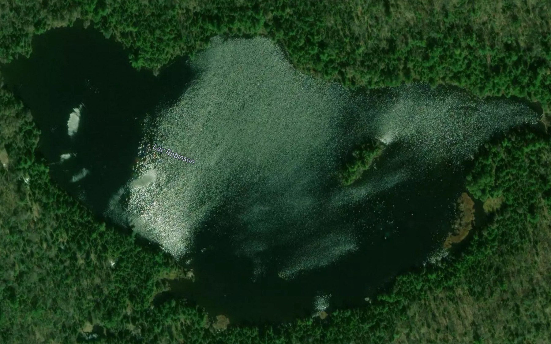 Satellite map of the Lac Robinson