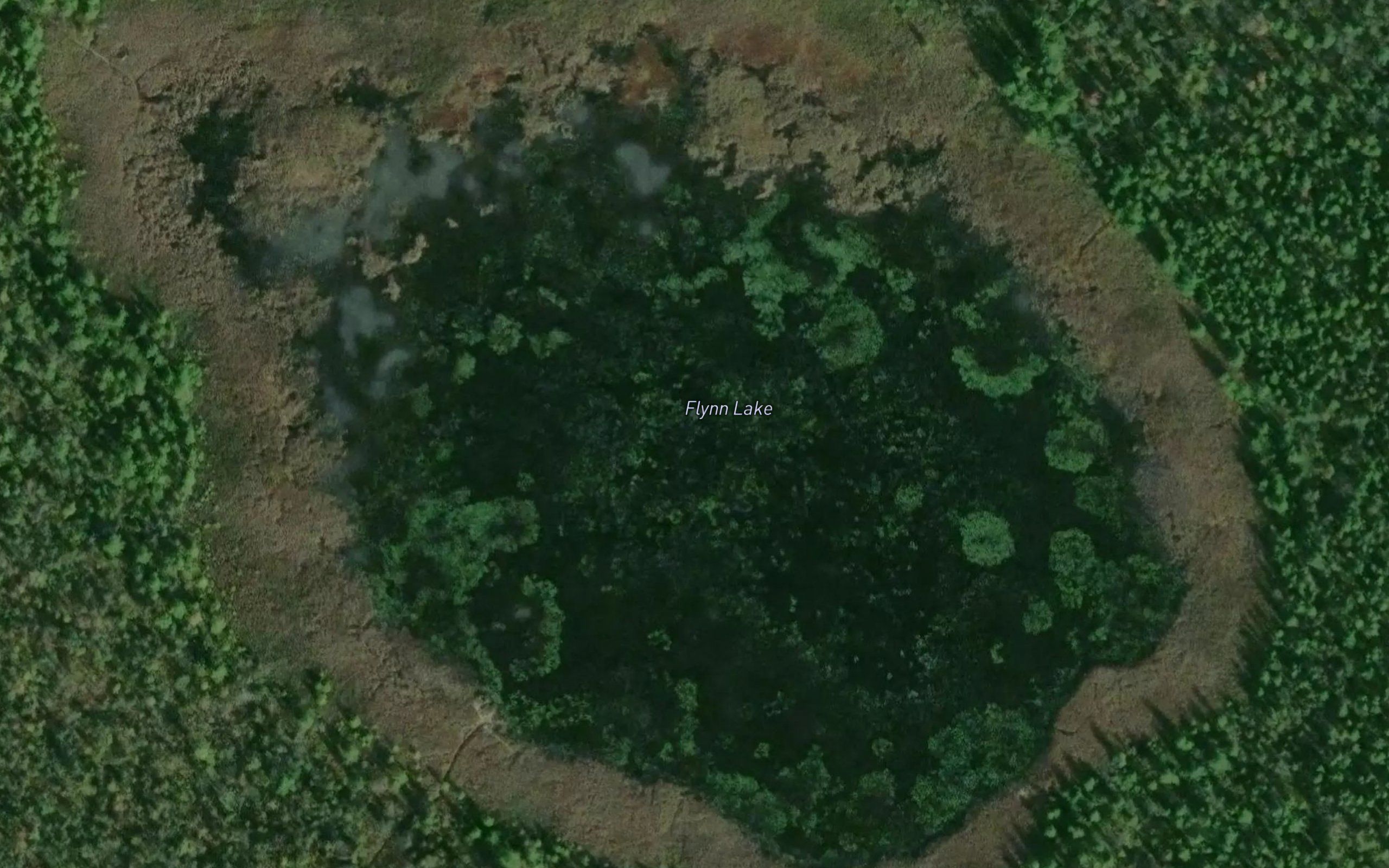 Flynn Lake