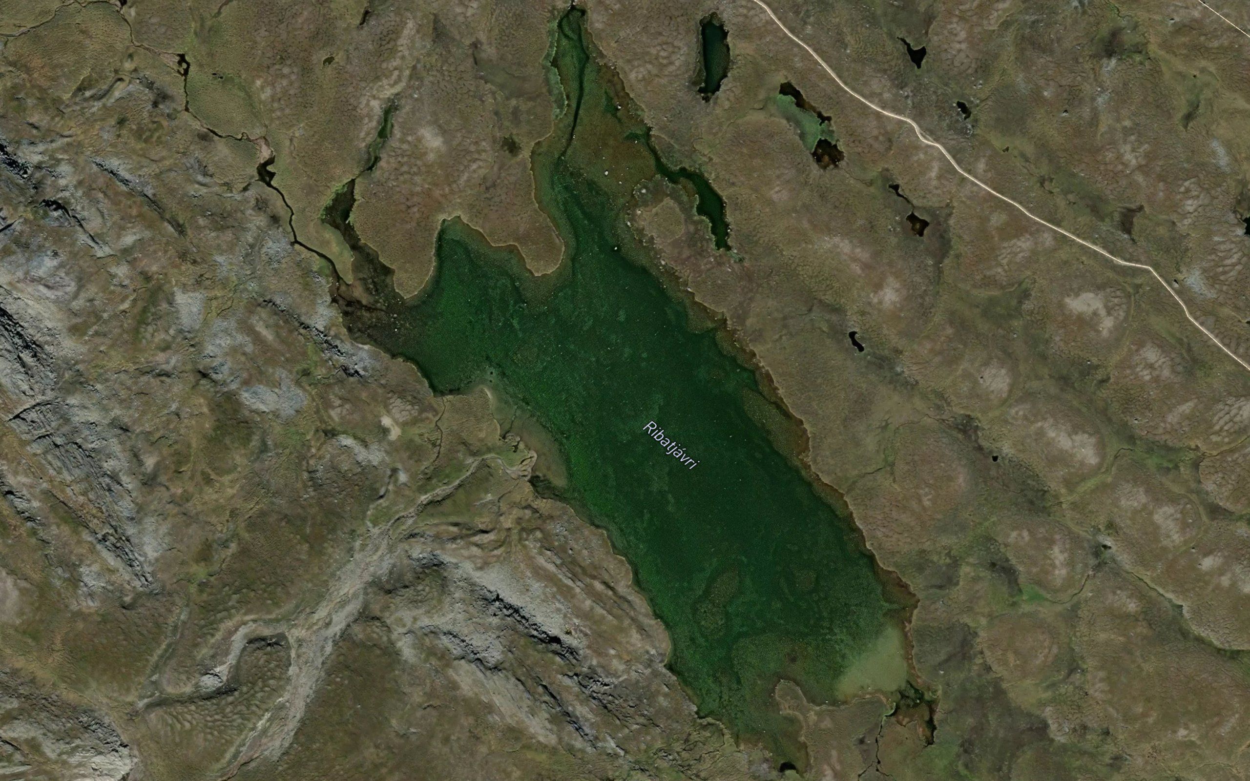 Ribatjavri