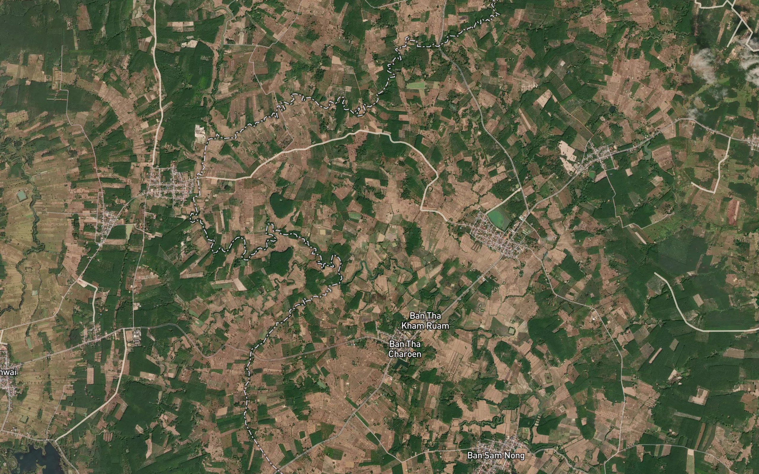 Nong Phak Phi Phuai