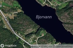 Bjorvann
