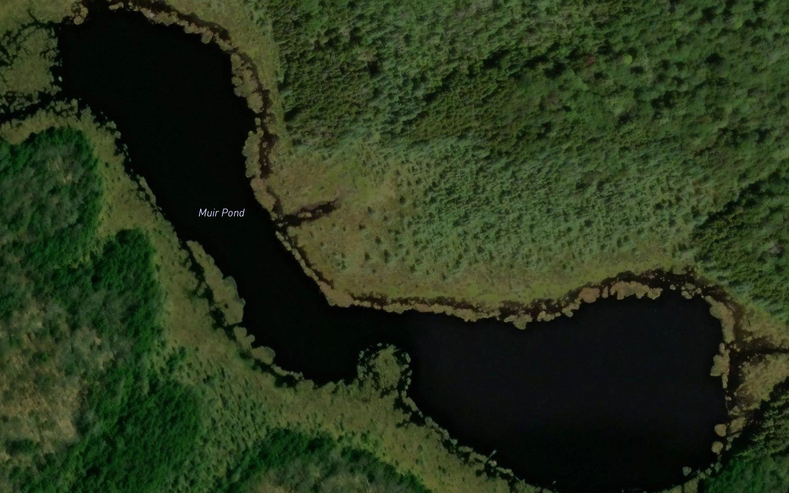 Muir Pond