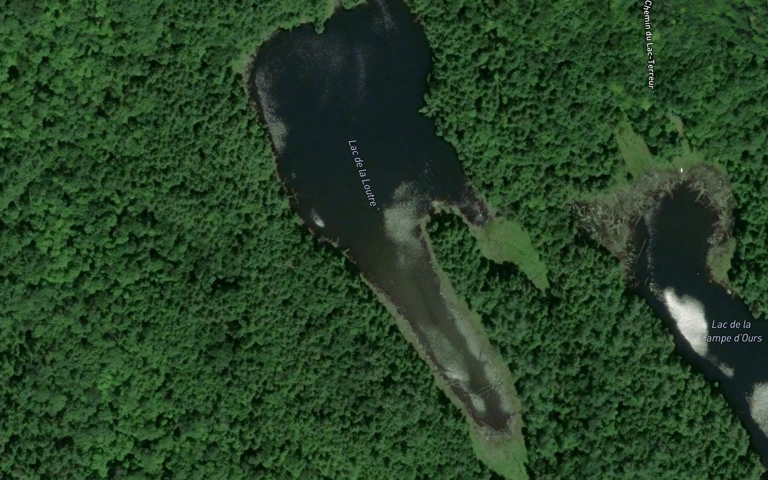 Lac de la Loutre