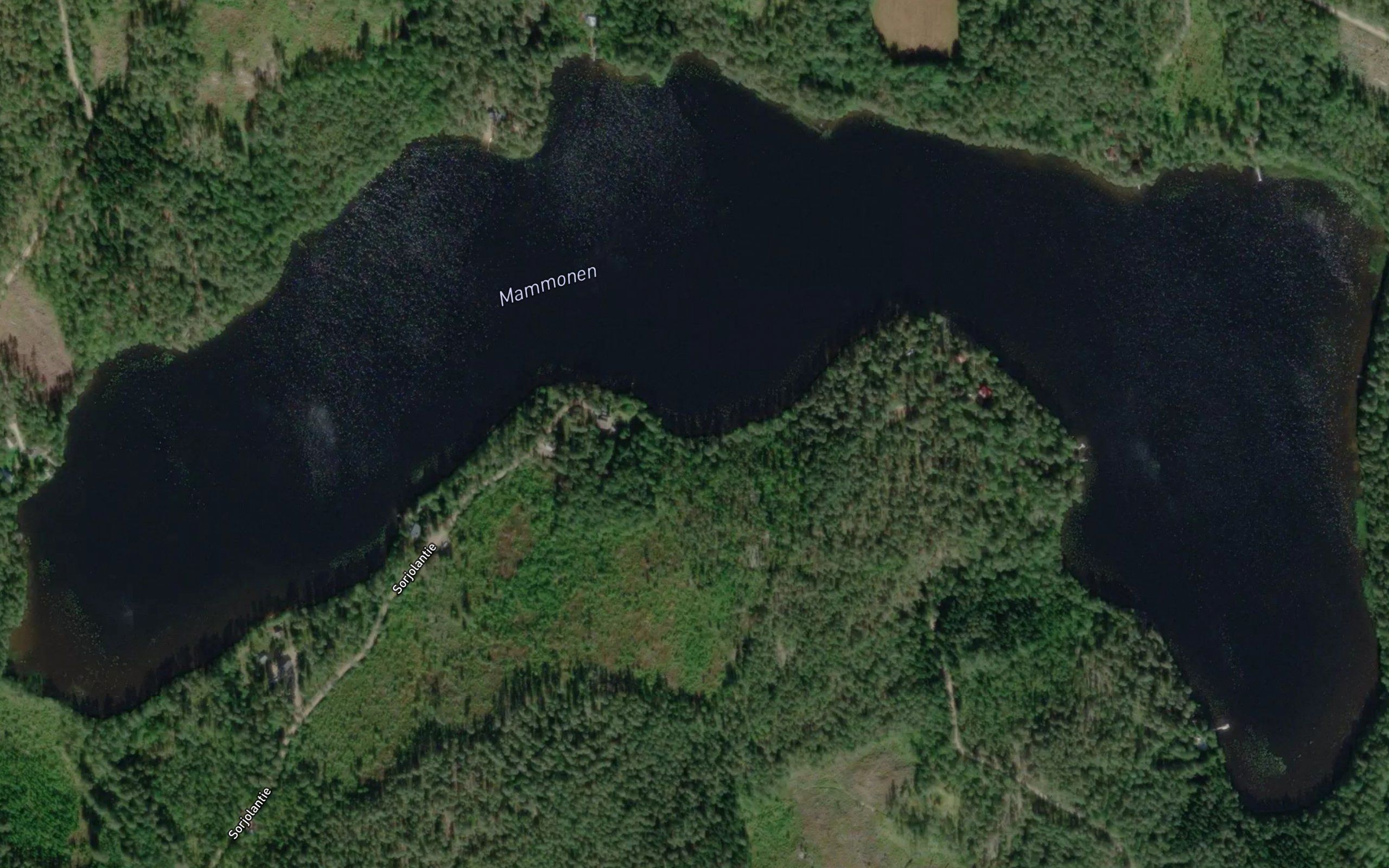 Mammonen
