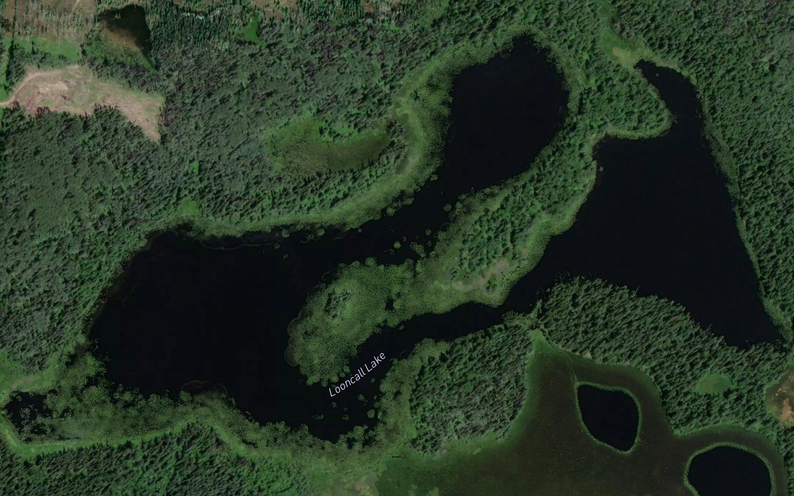 Looncall Lake