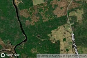 Shin Creek