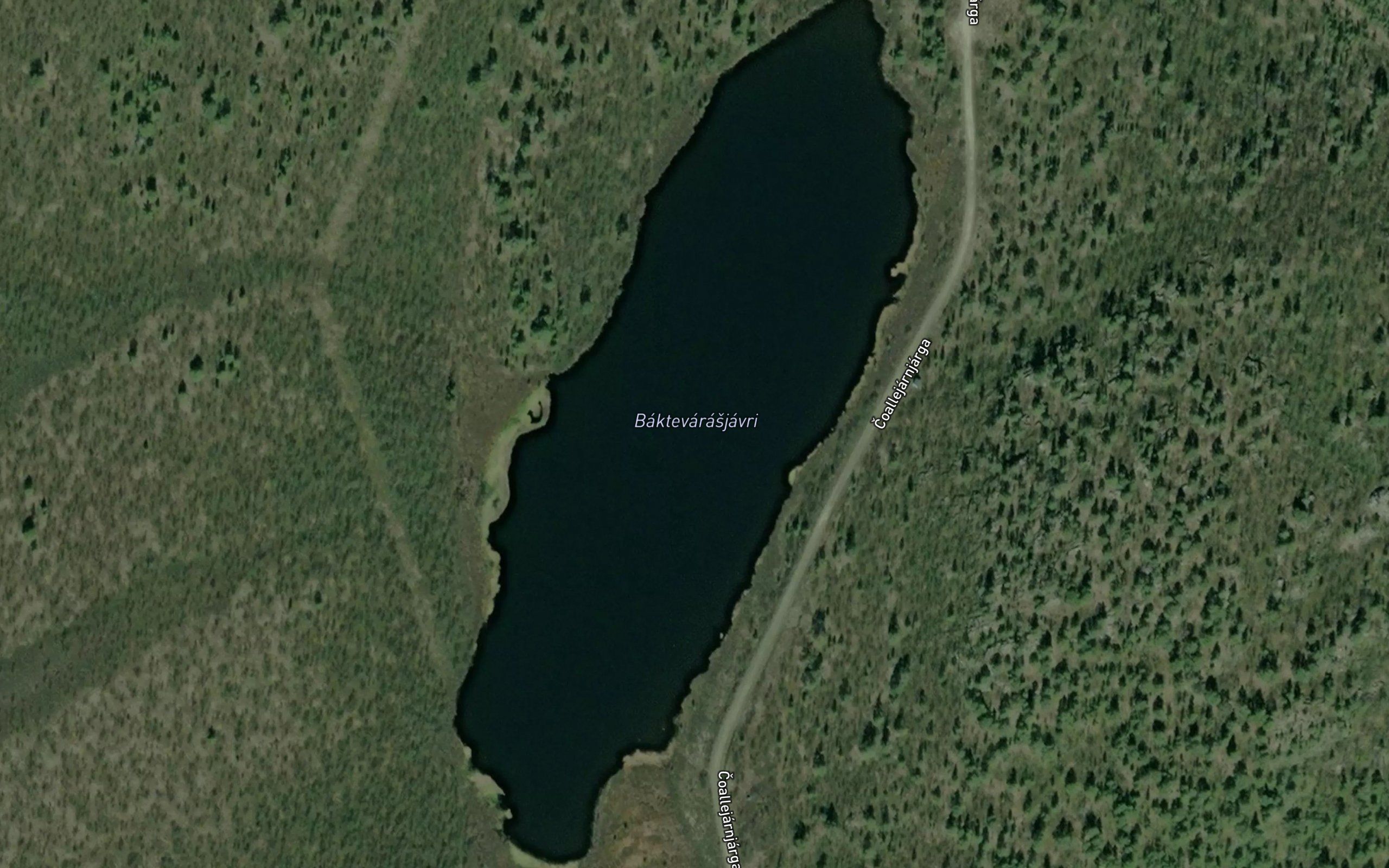 Baktevarasjavri