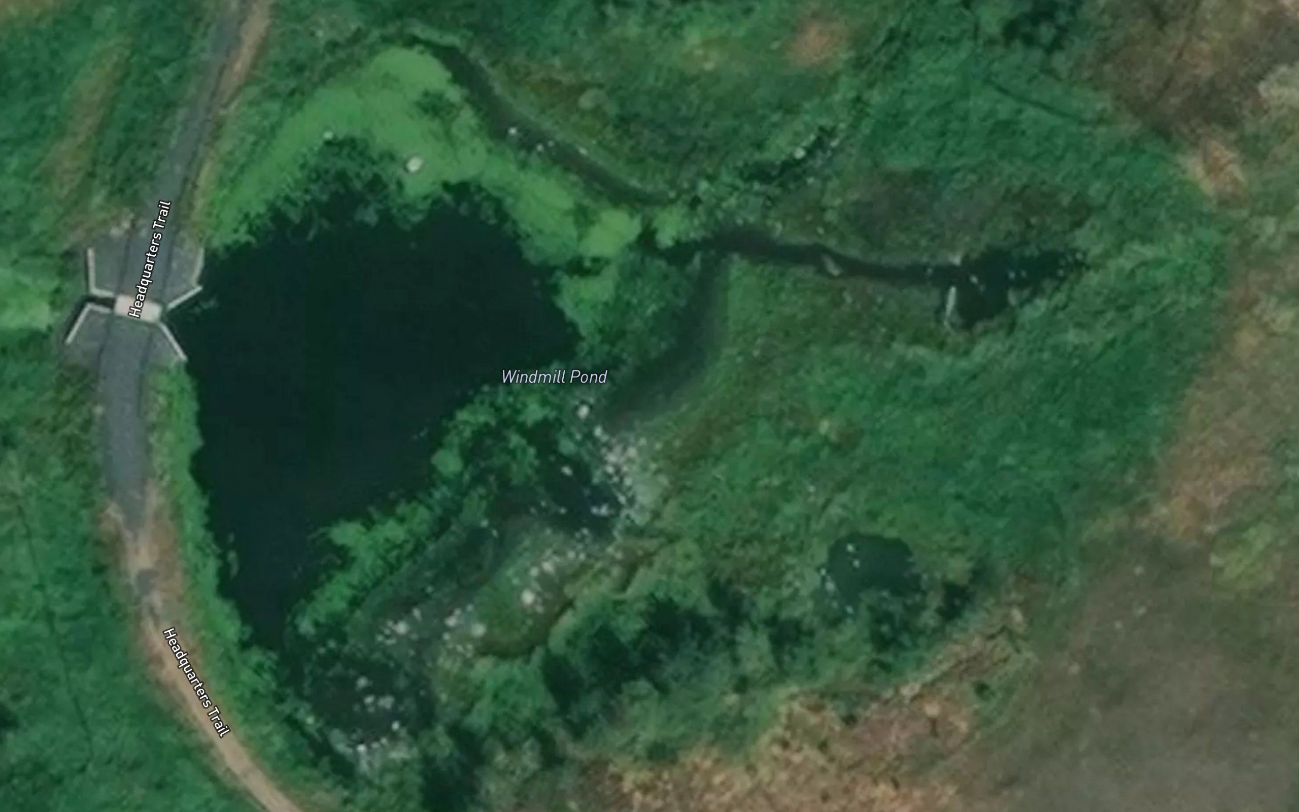 Windmill Pond