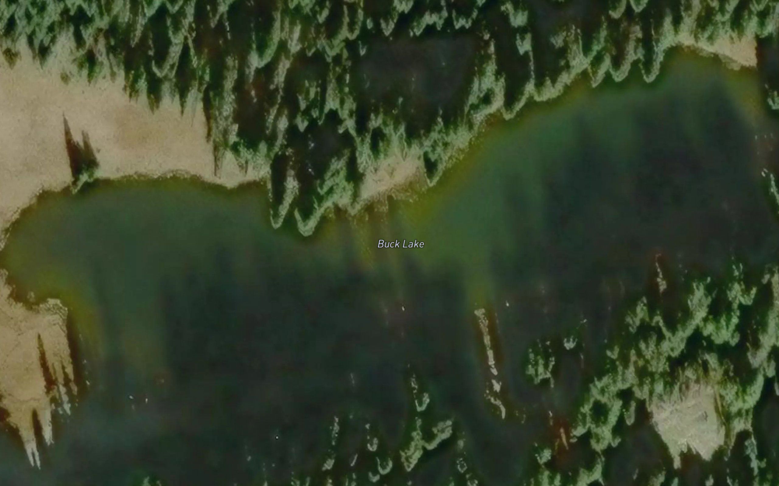 Buck Lake