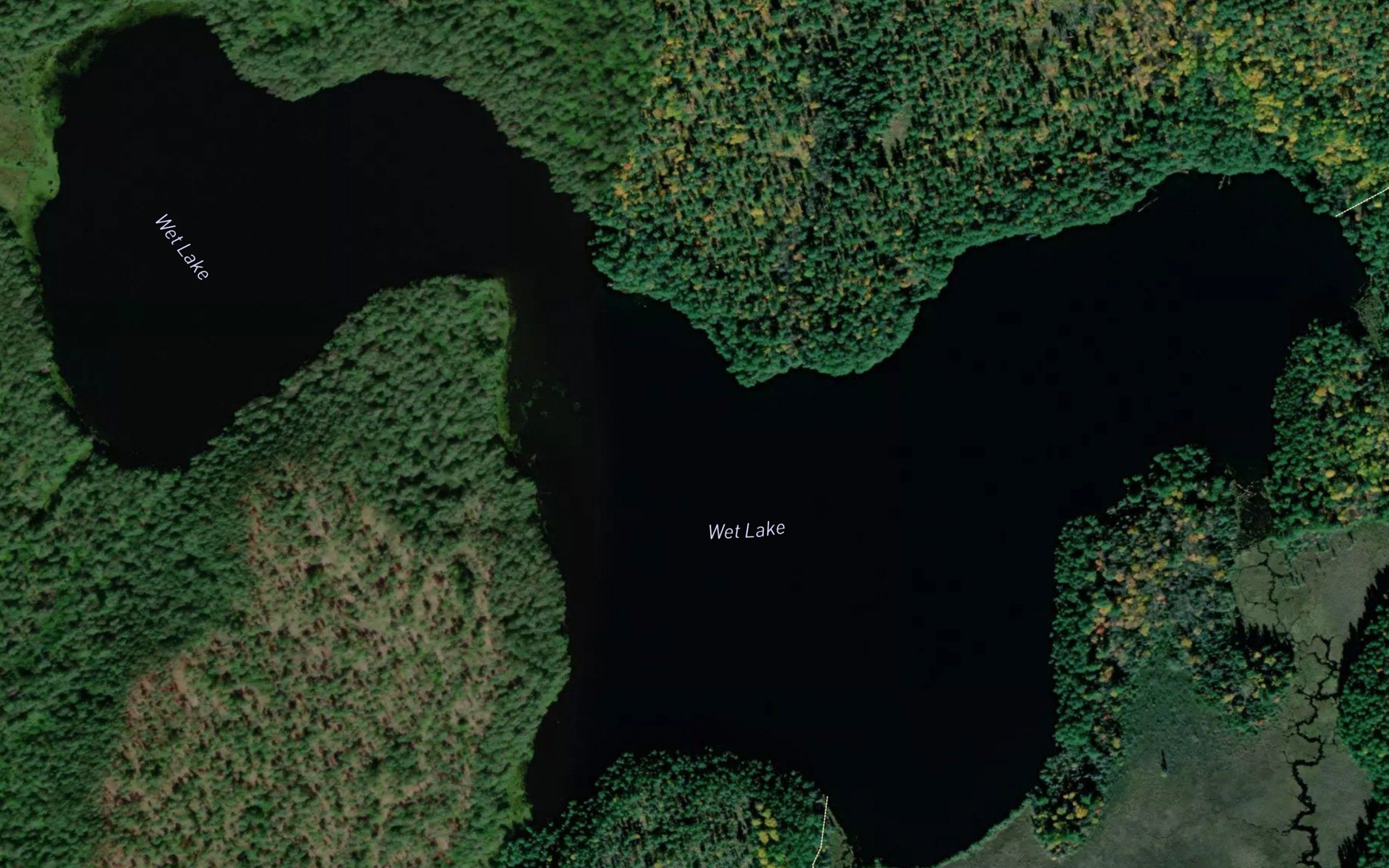 Wet Lake