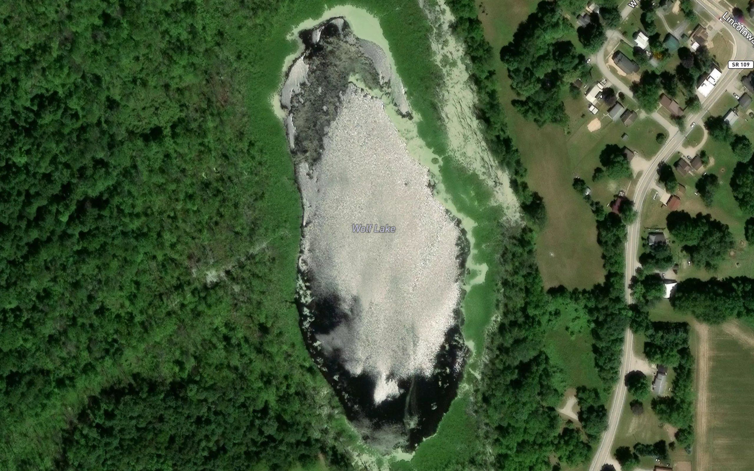 Wolf Lake