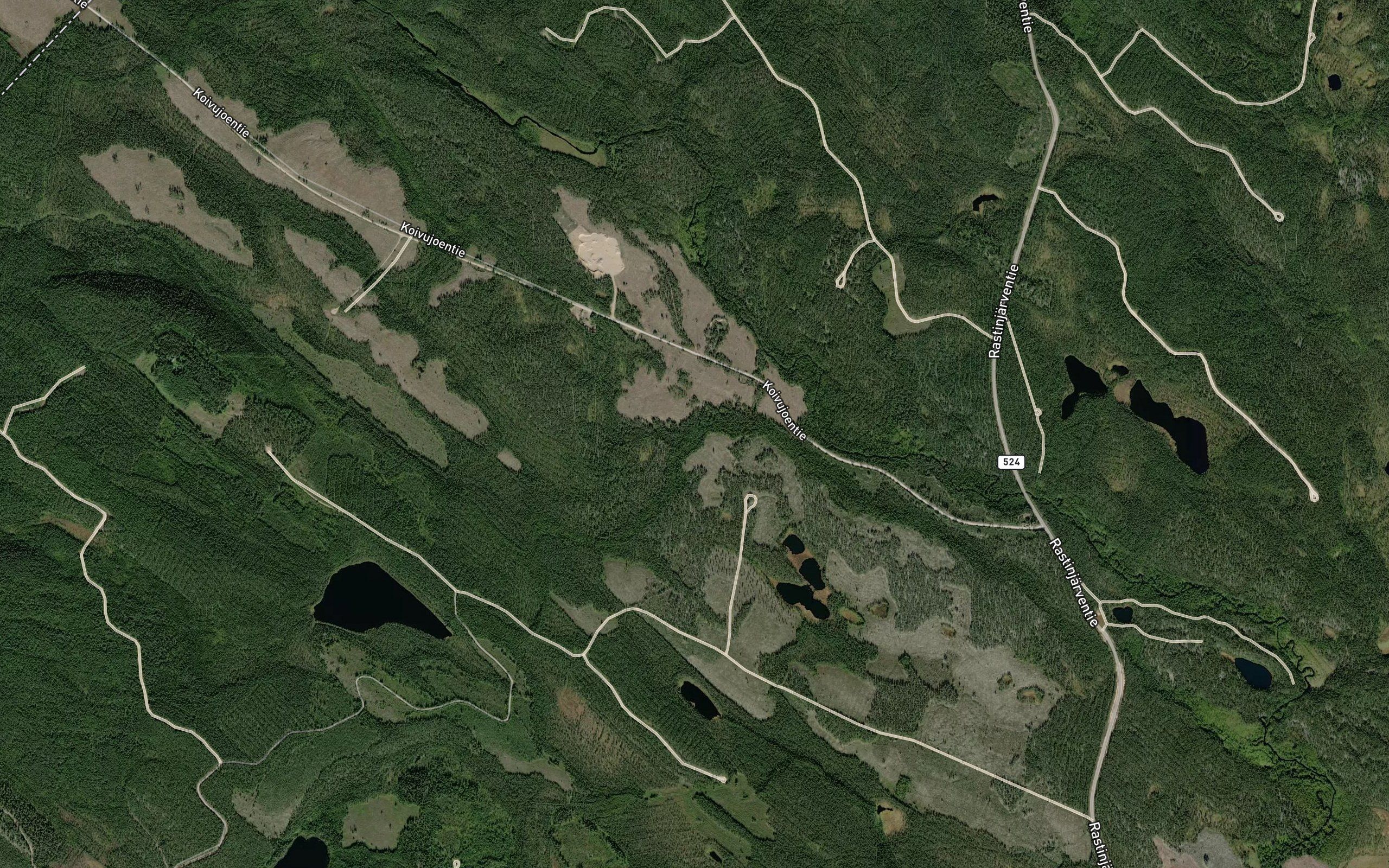 Tammipuro