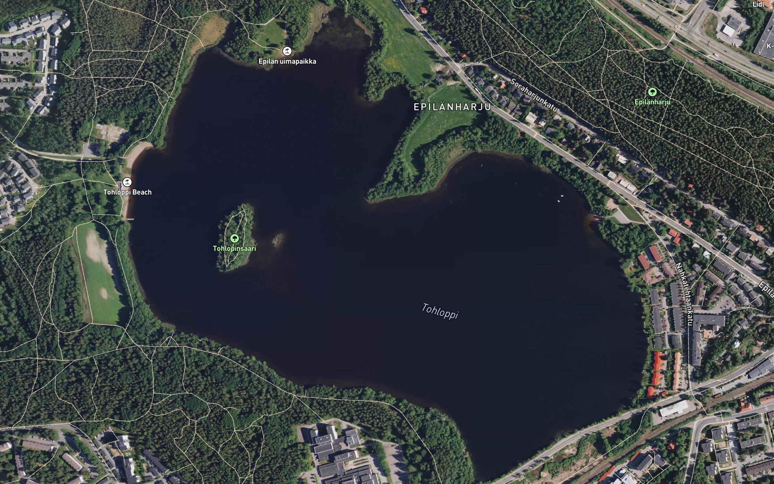 Tohloppi