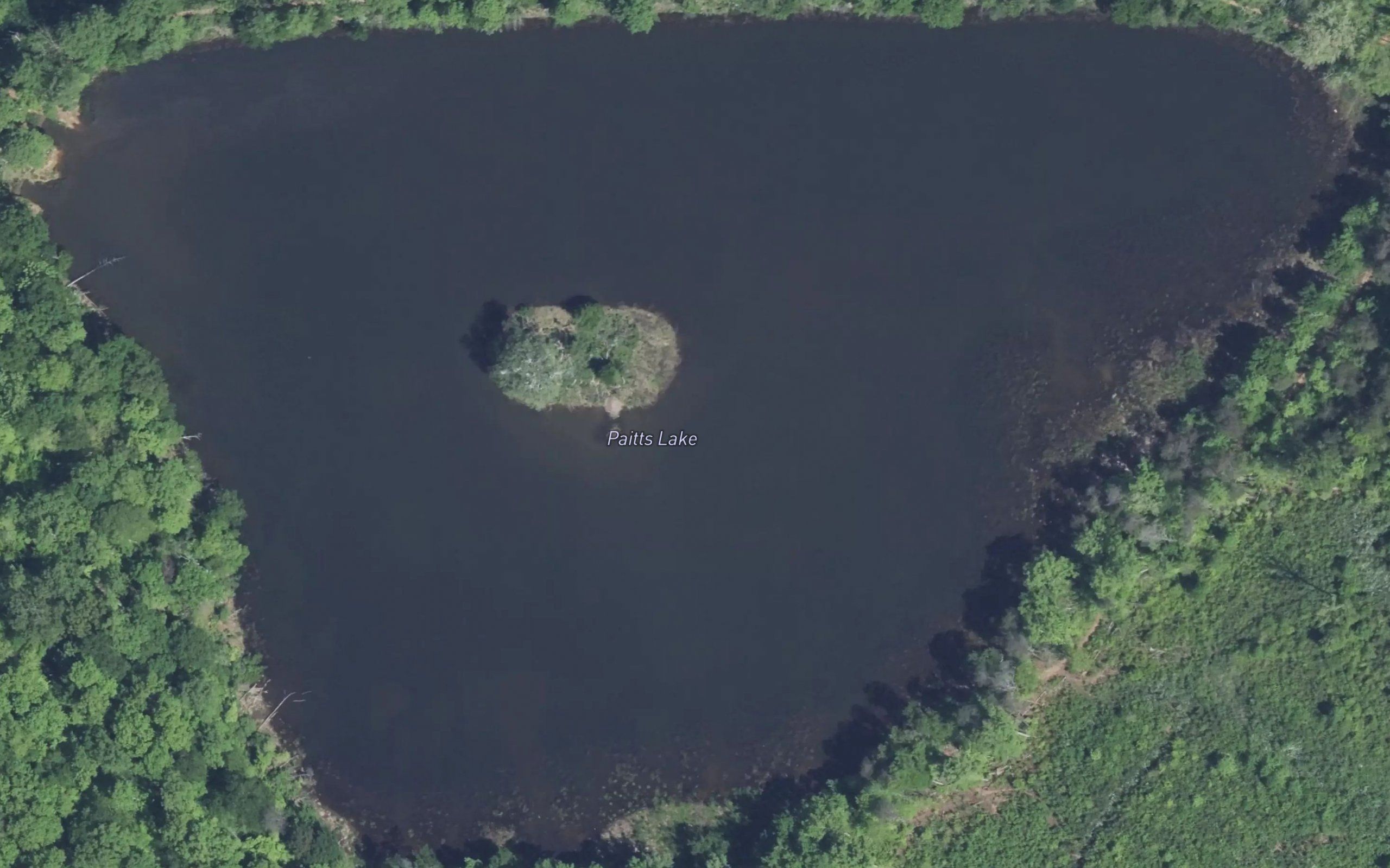 Paitts Lake