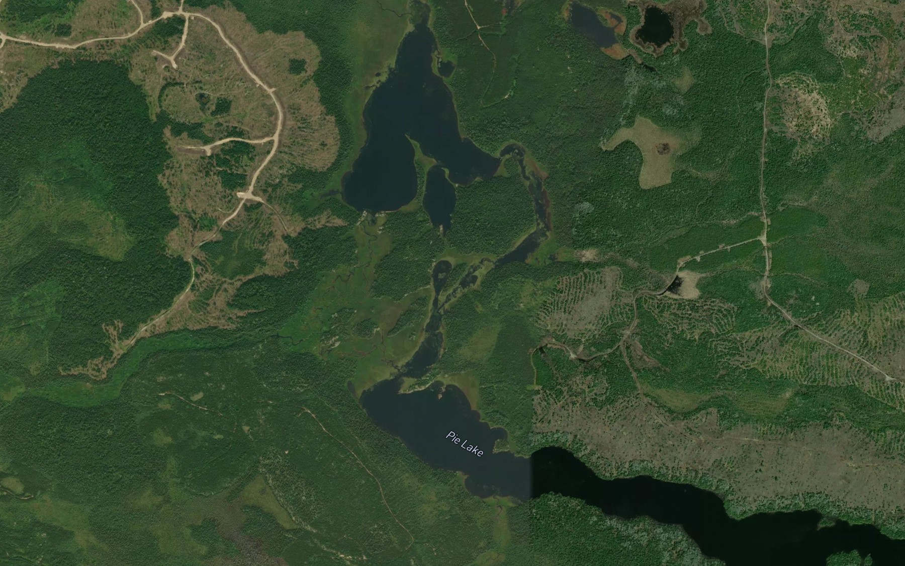Satellite map of the Pie Lake