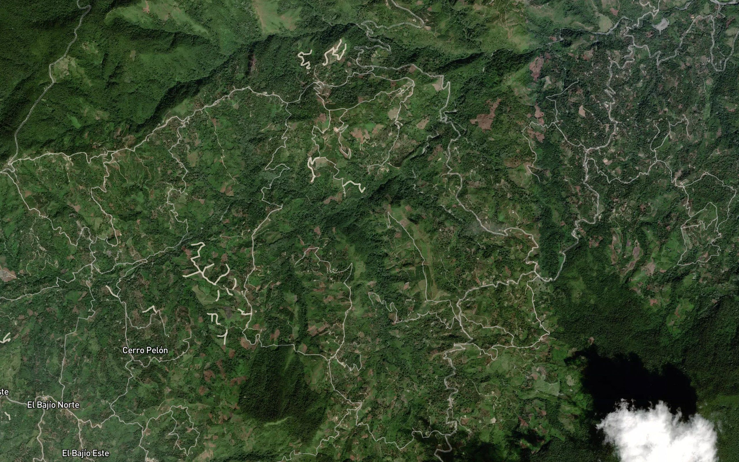 Quebrada Los Palmares