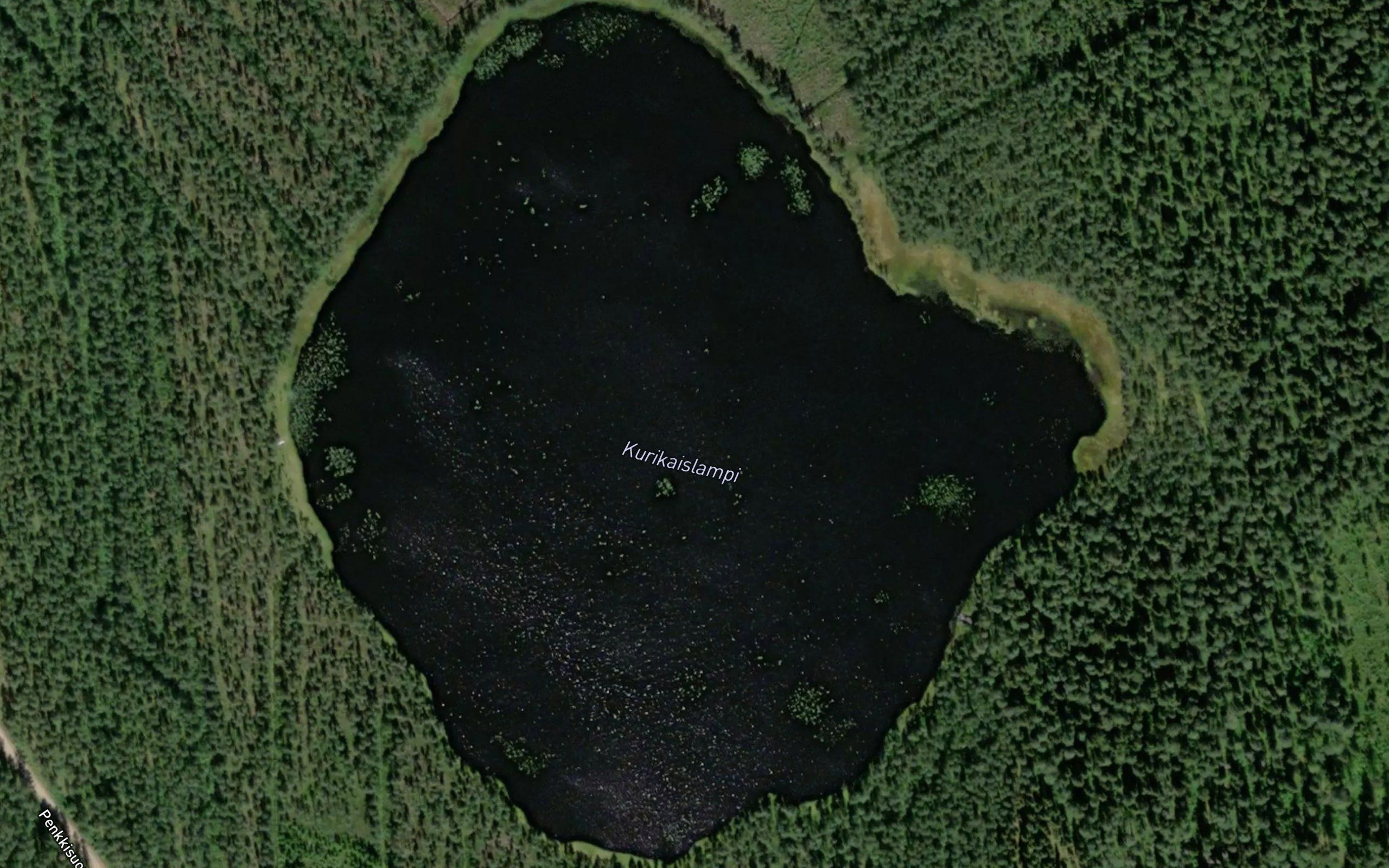 Kurikaislampi
