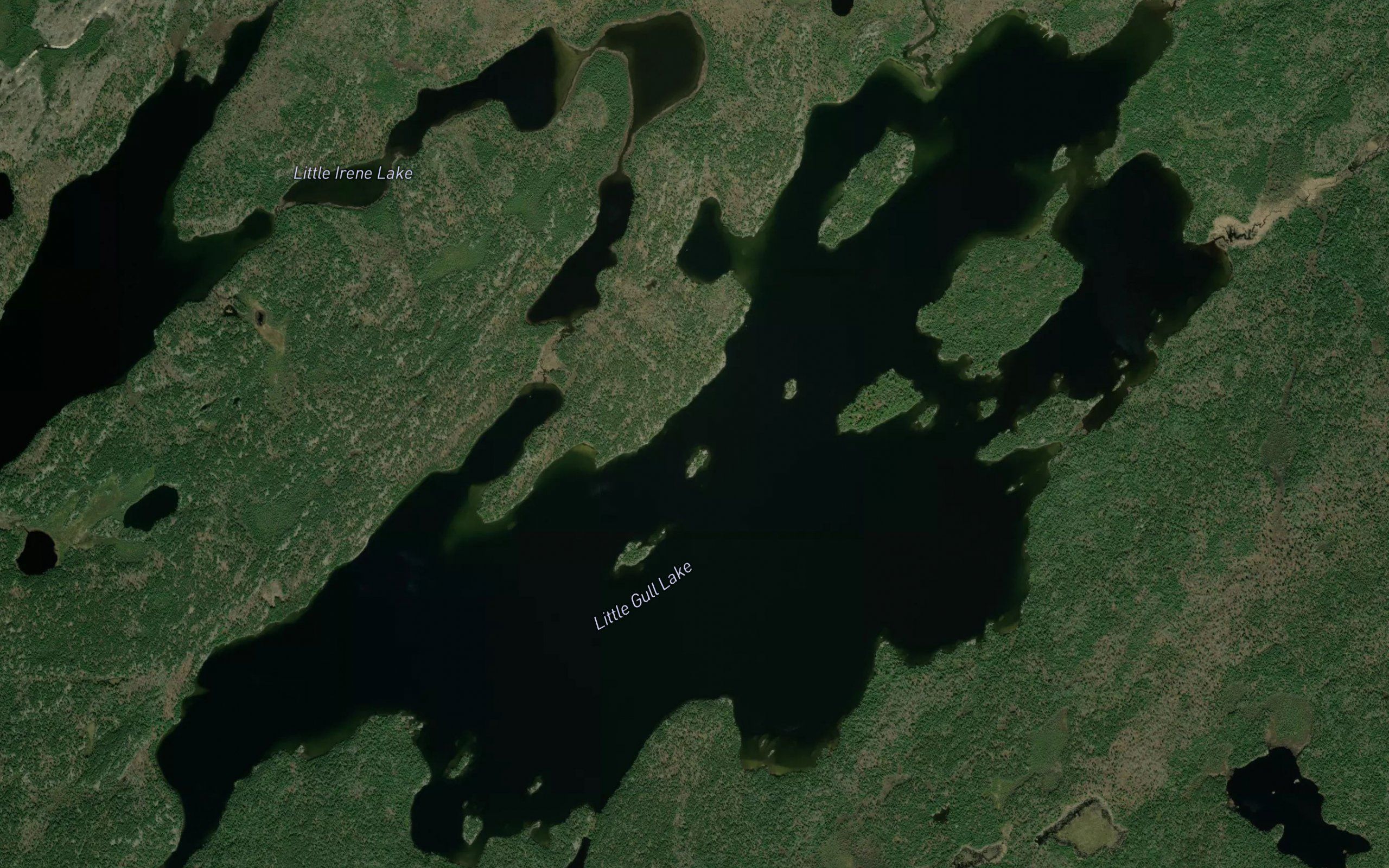 Little Gull Lake