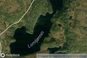 Lomtjornin