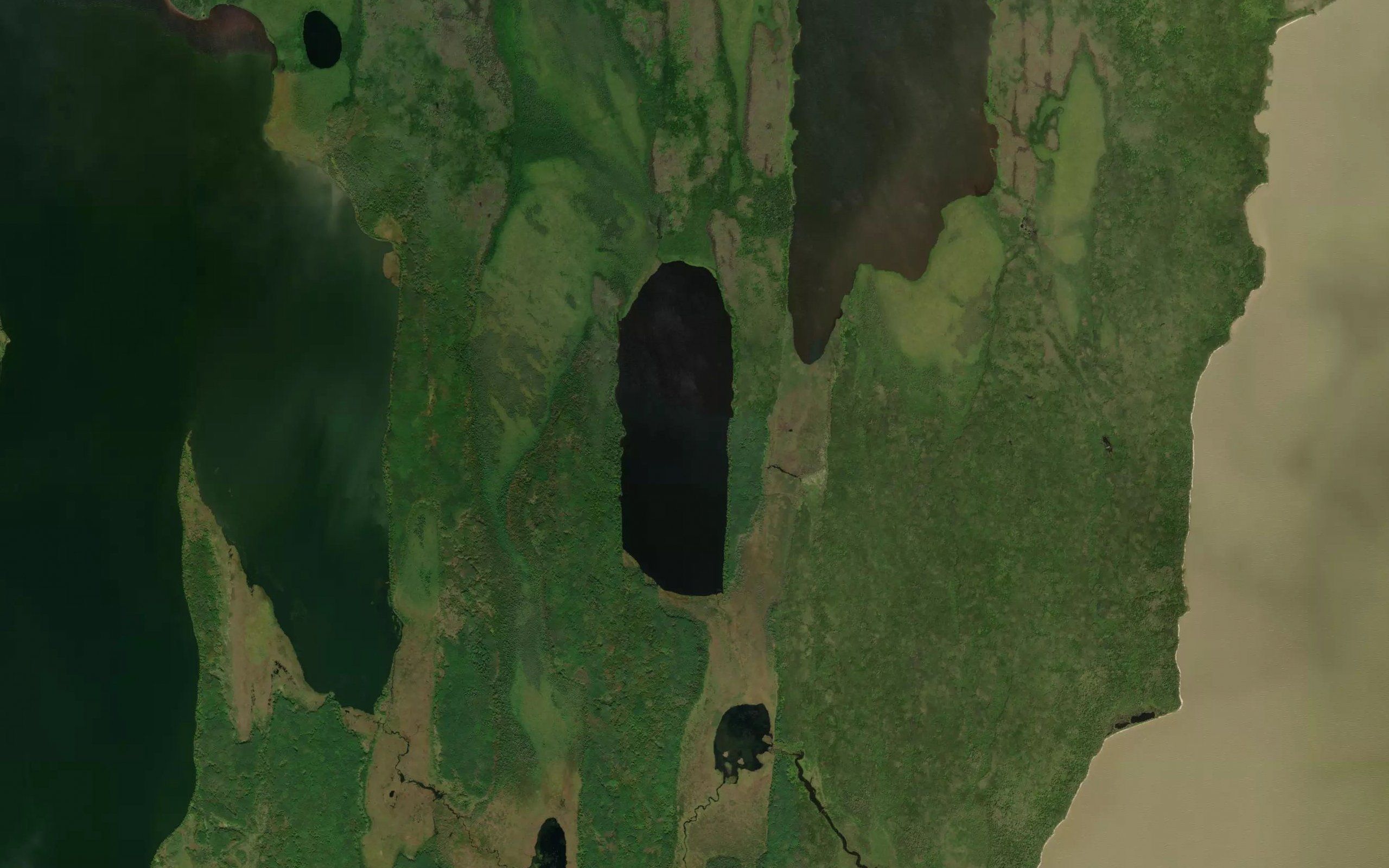 Thickwood Lake