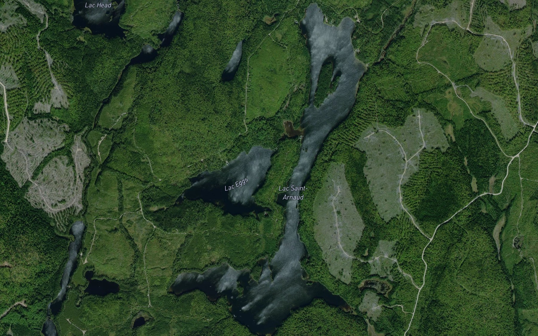 Satellite map of the Lac Saint-Arnaud