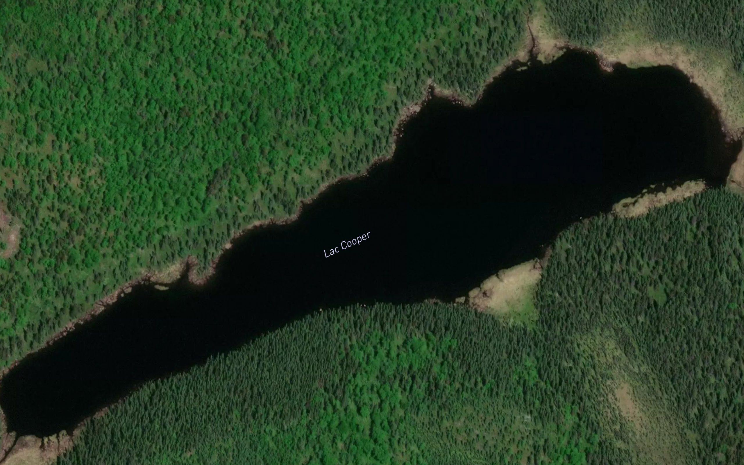 Lac Cooper