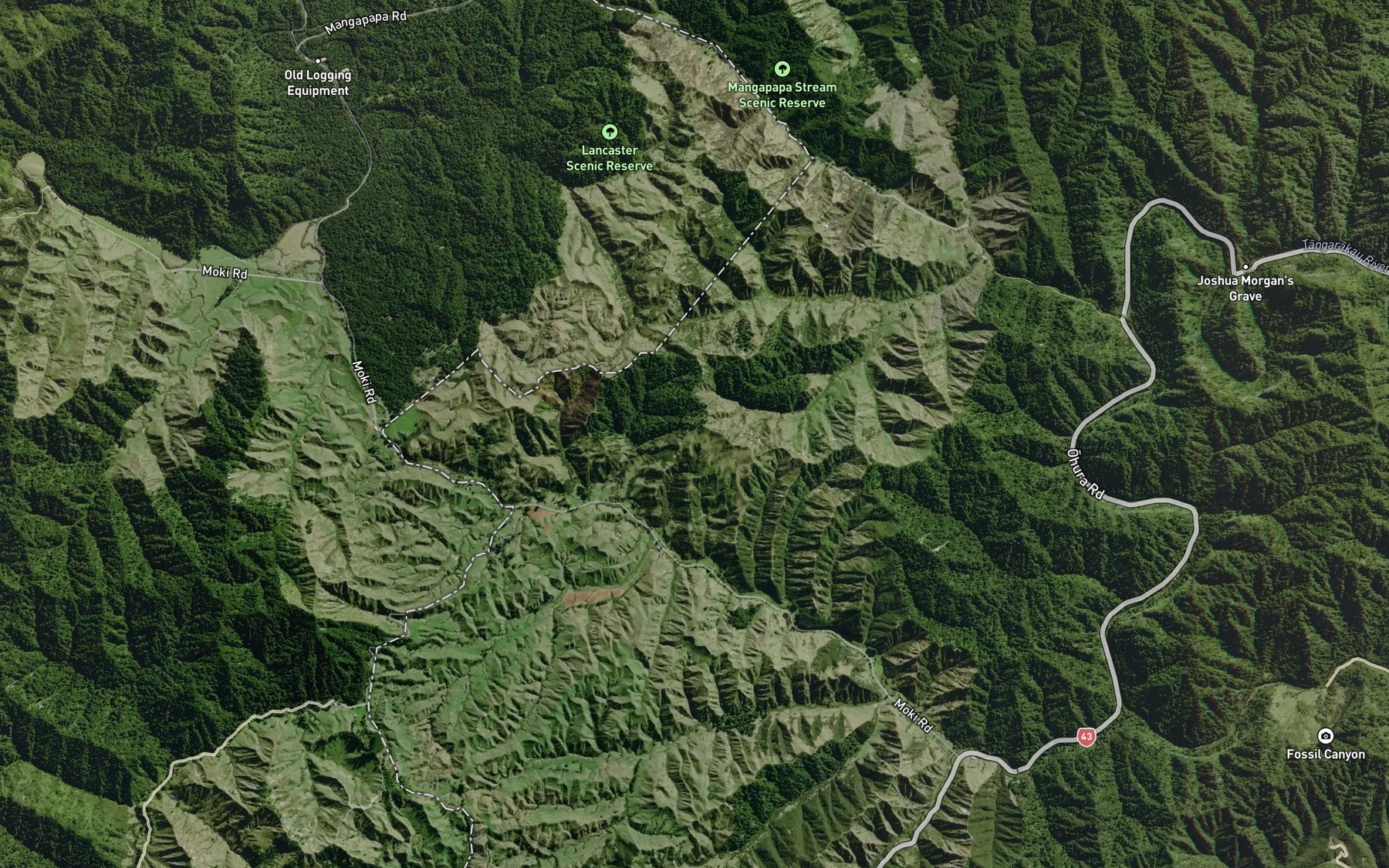 Satellite map of the Waingarara Stream