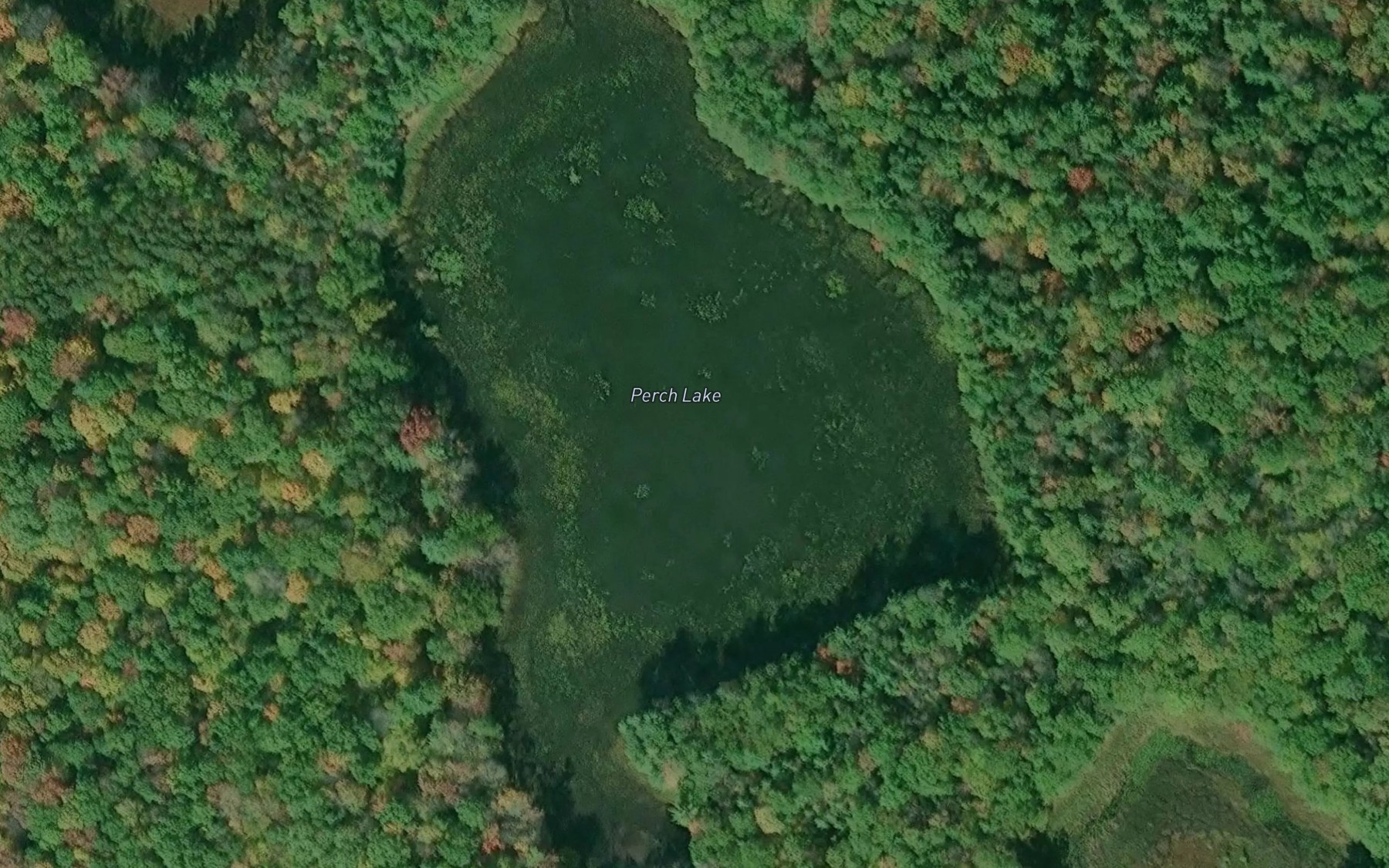 Satellite map of the Perch Lake