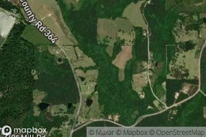 Coon Creek