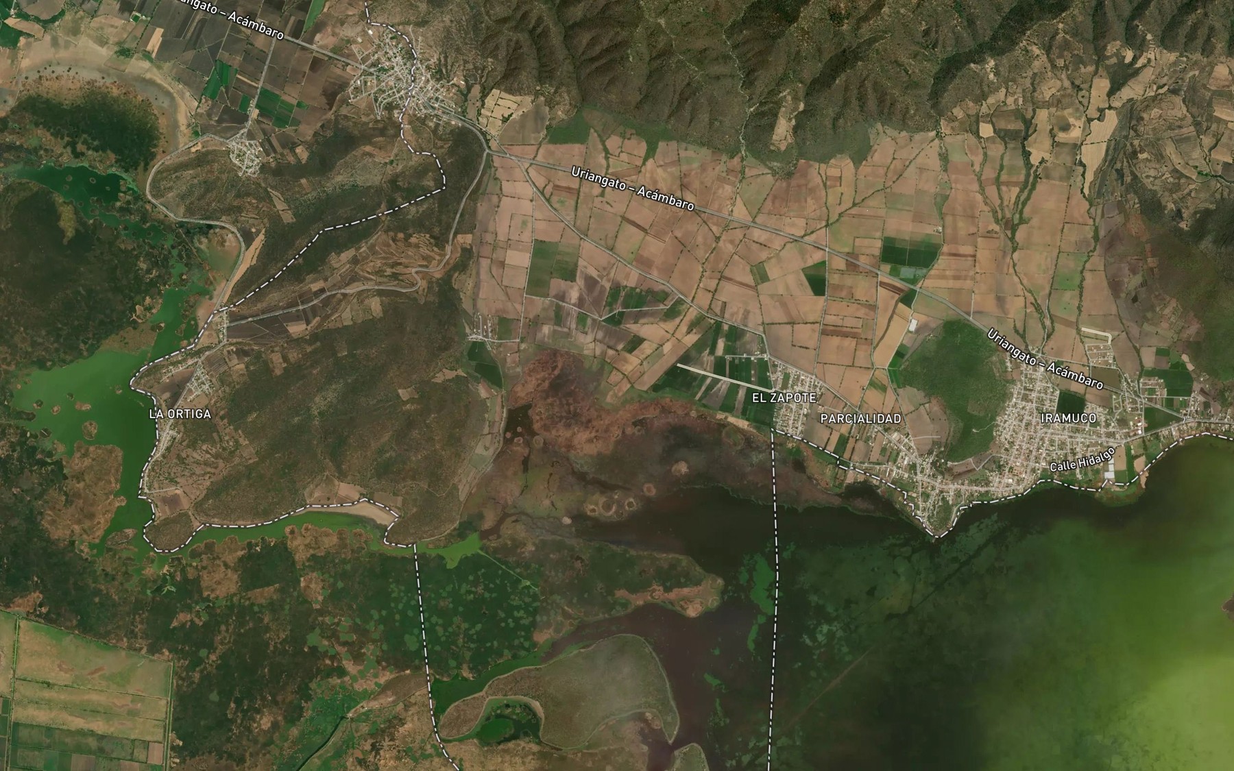 Satellite map of the La Bufa