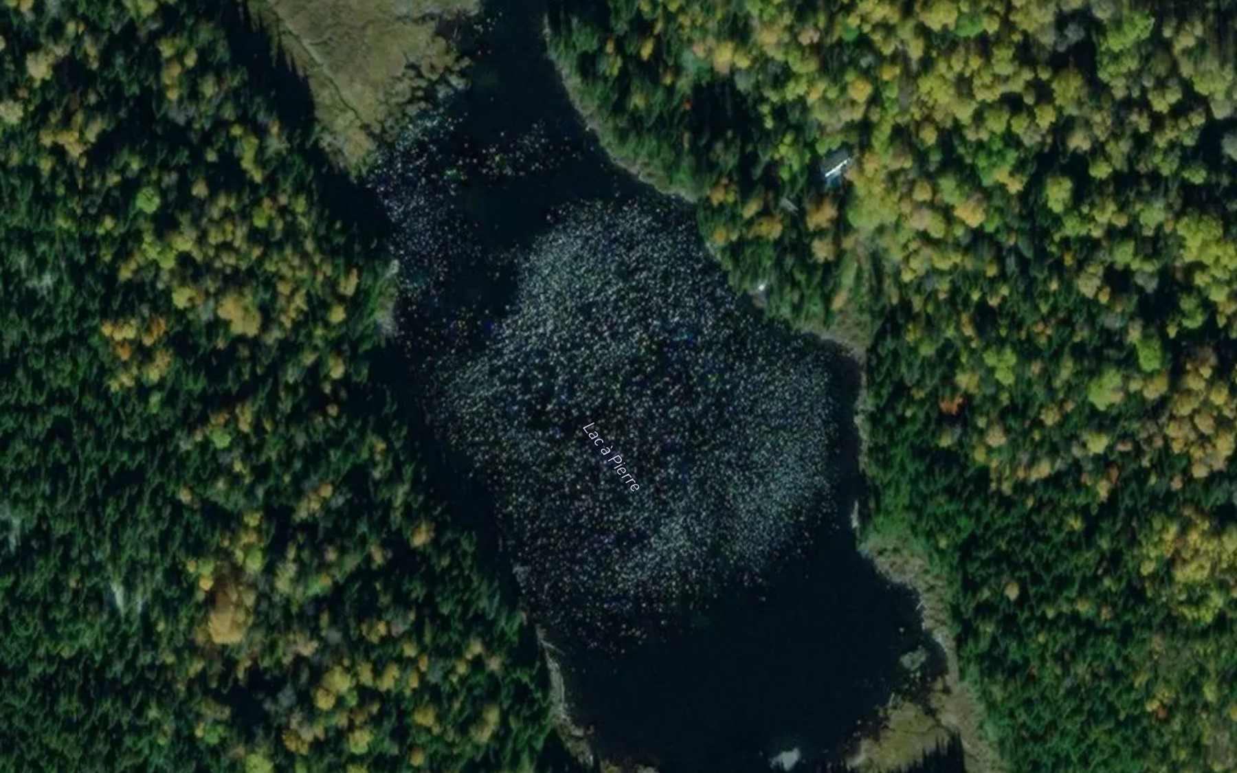 Satellite map of the Lac a Pierre