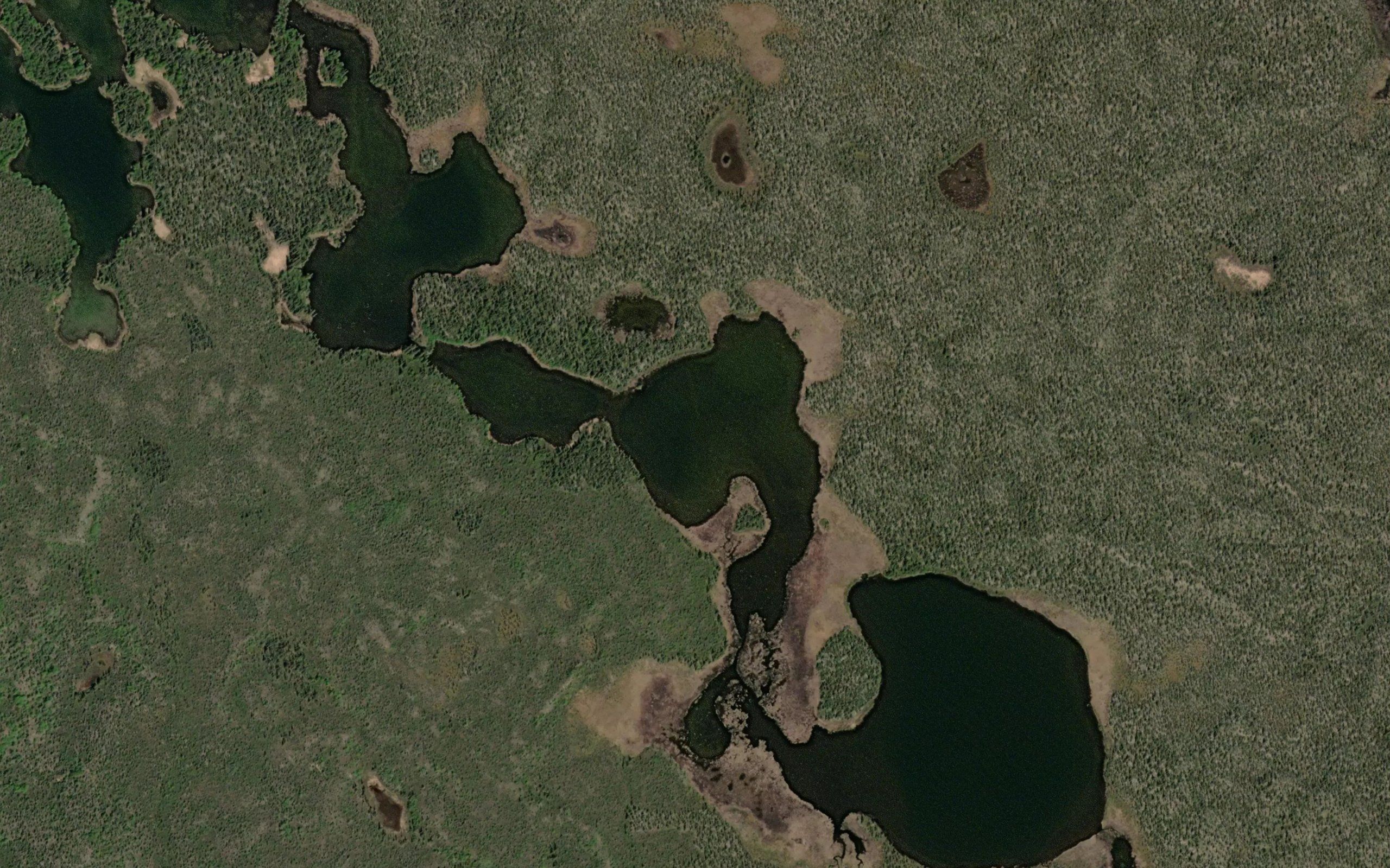 Salmon Berry Lake