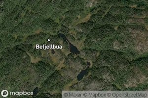 Befjelltjorna