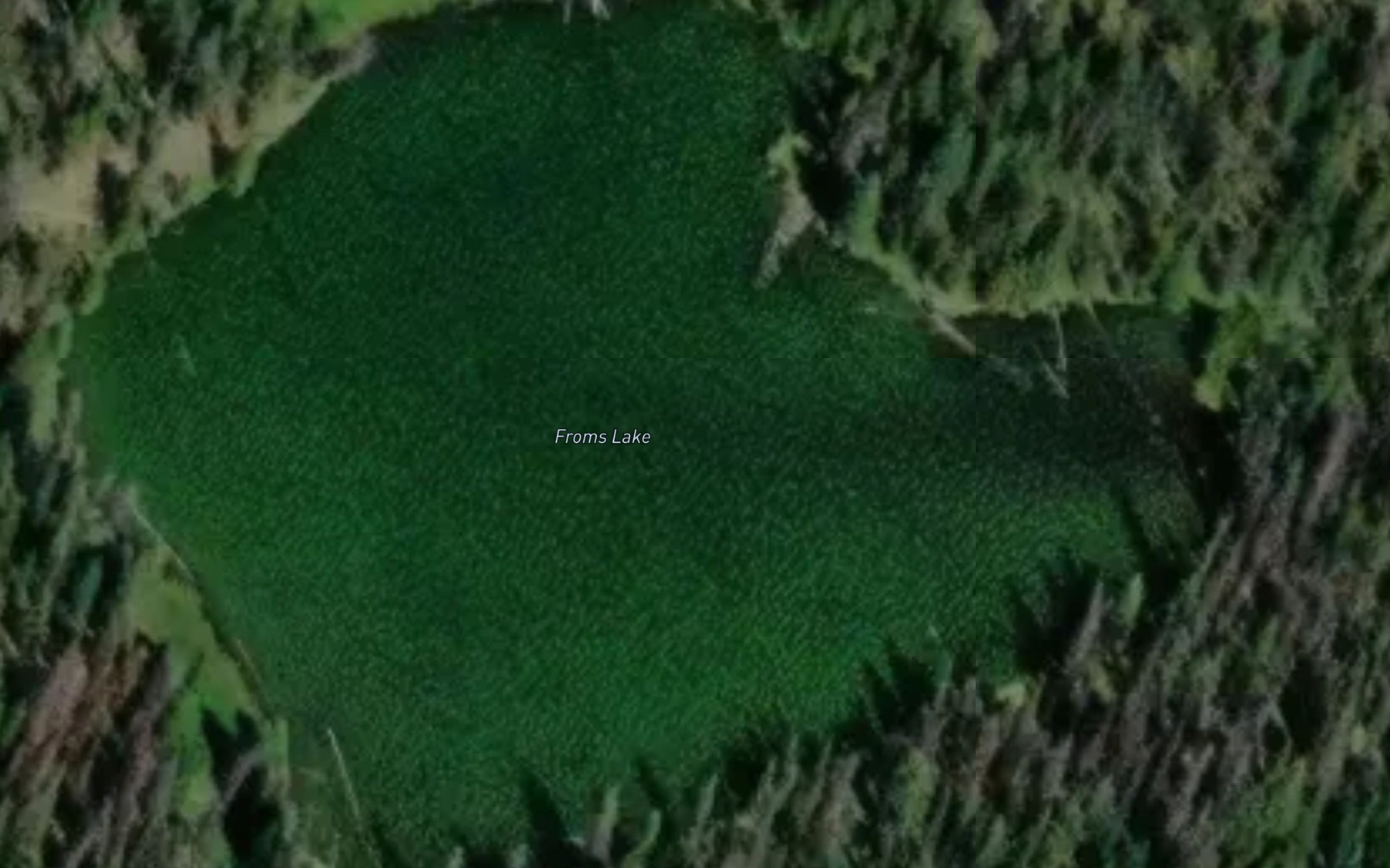 Satellite map of the Froms Lake