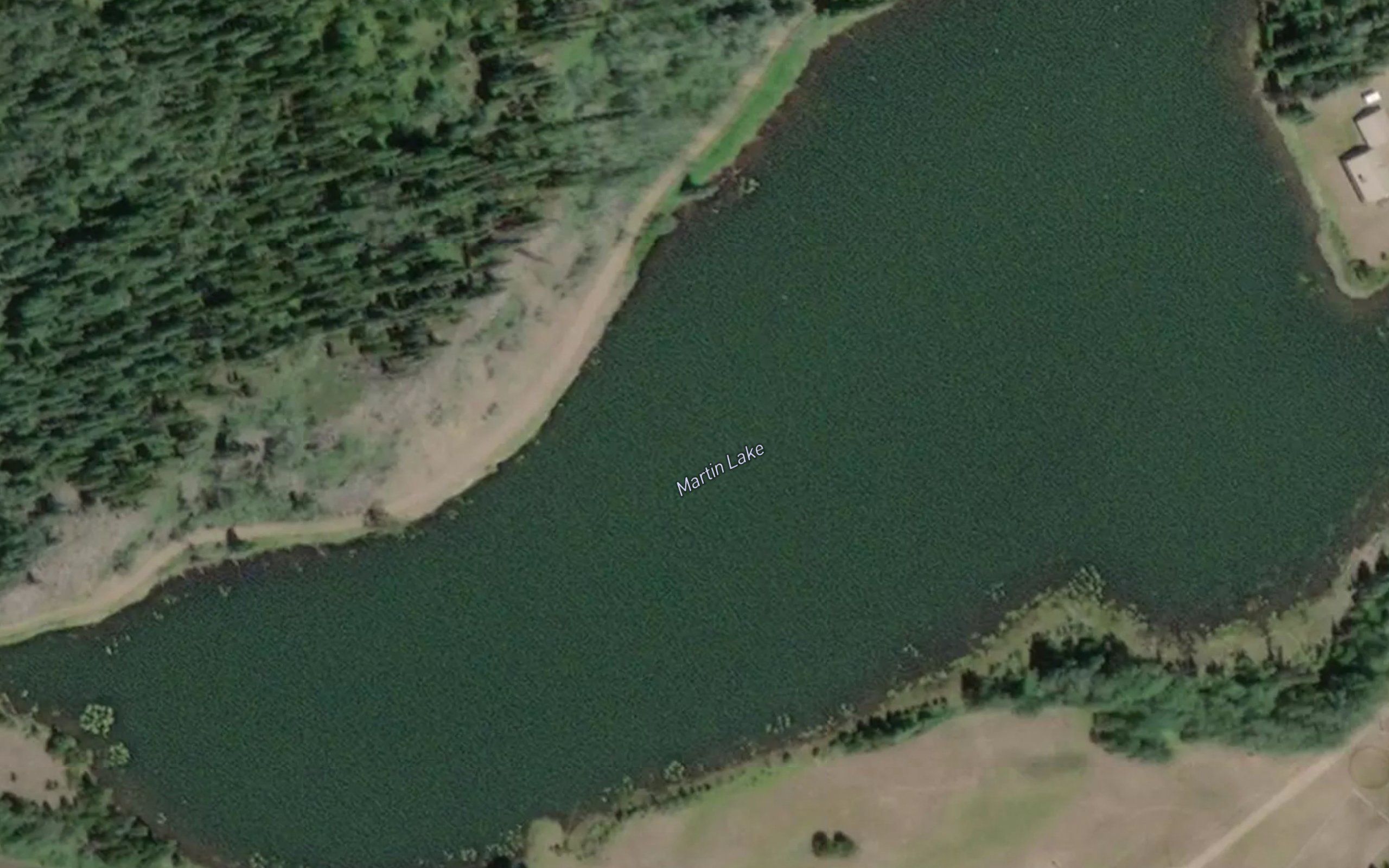 Martin Lake