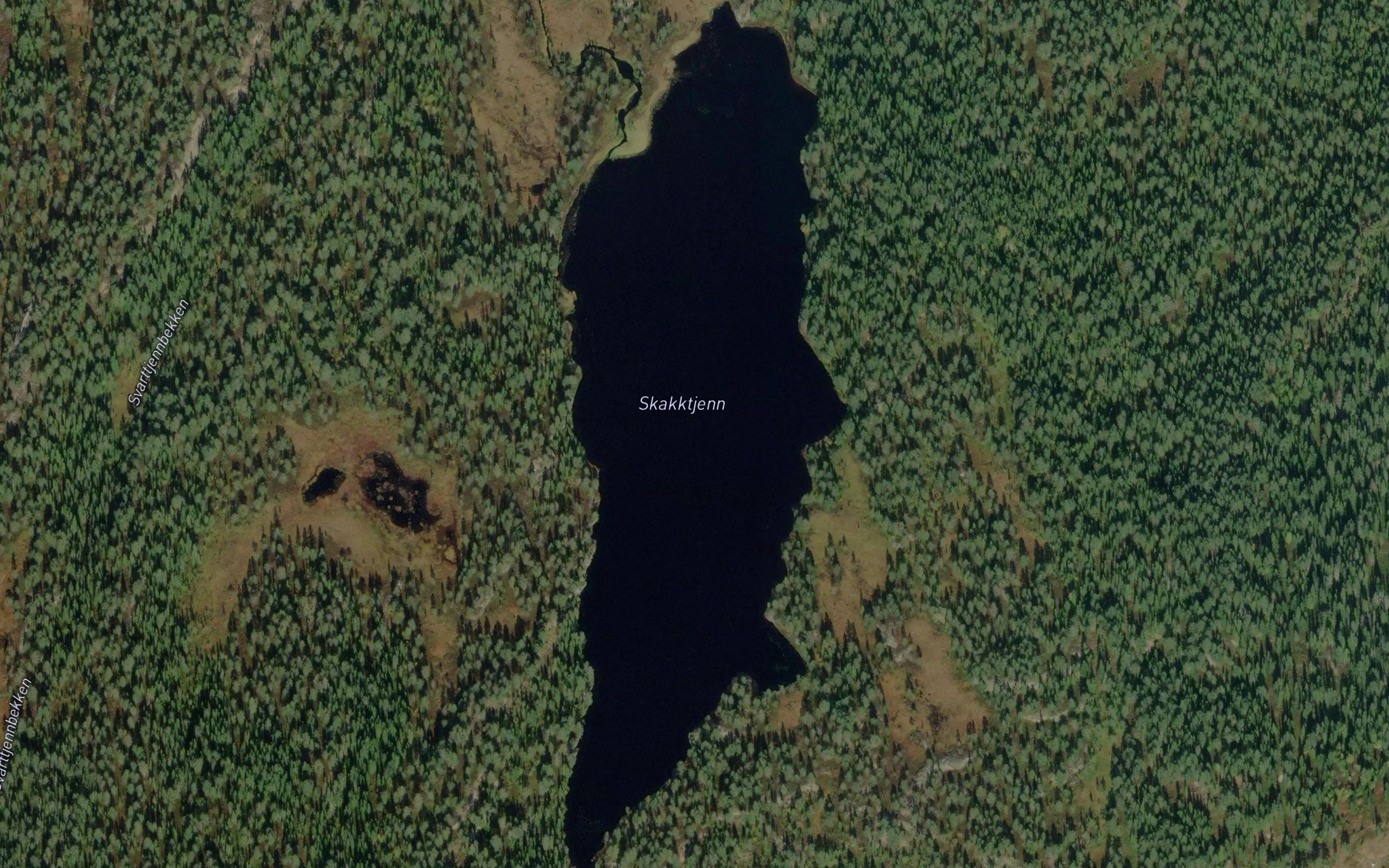 Skakktjern