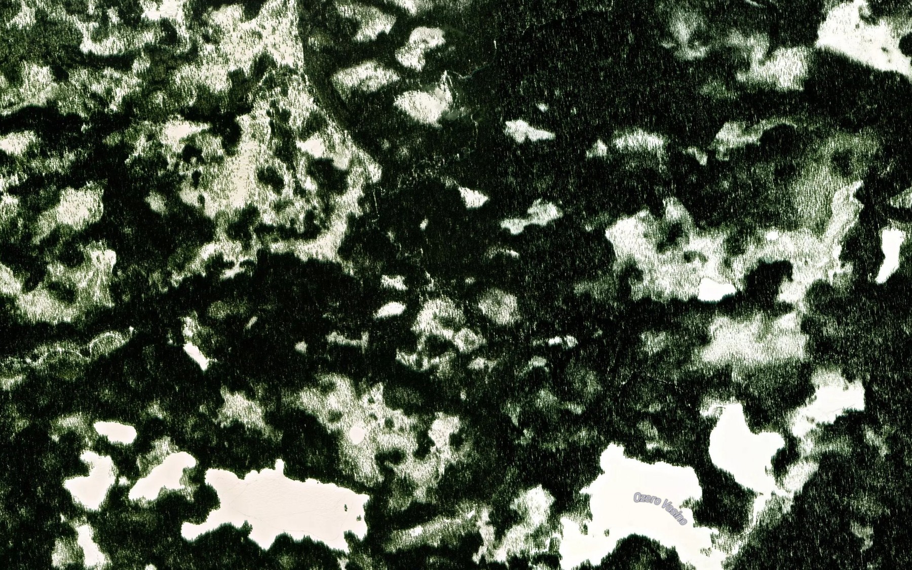Satellite map of the Vasin