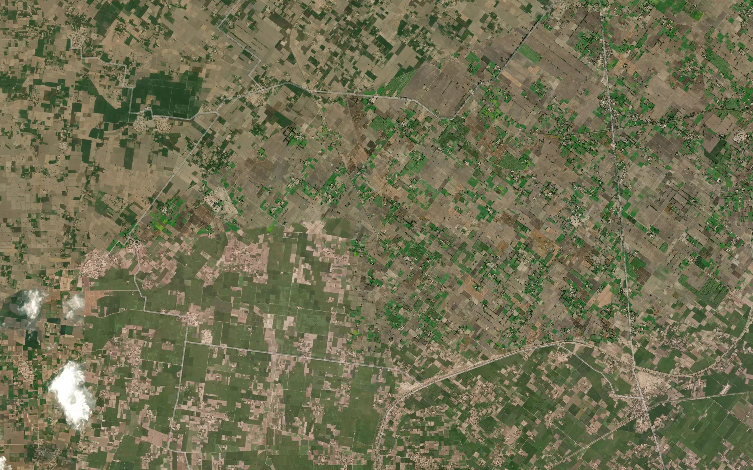Naurang Distributary