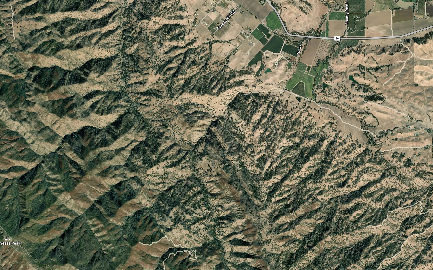 Satellite map of the Big Spring