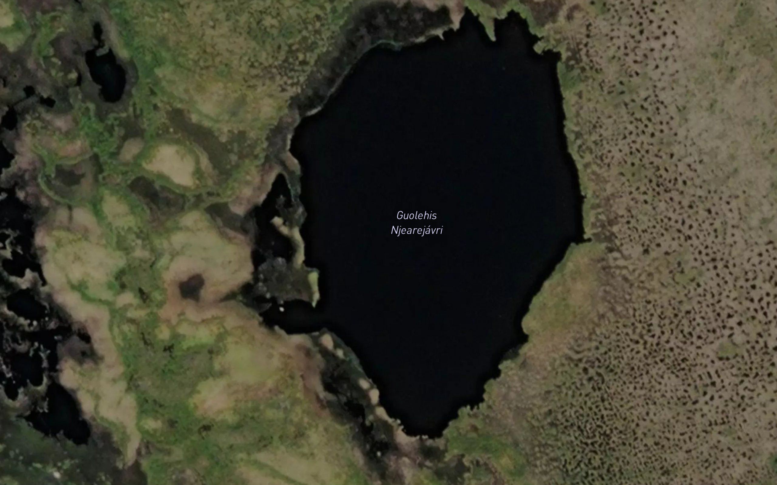 Njaerejavri,guolehis