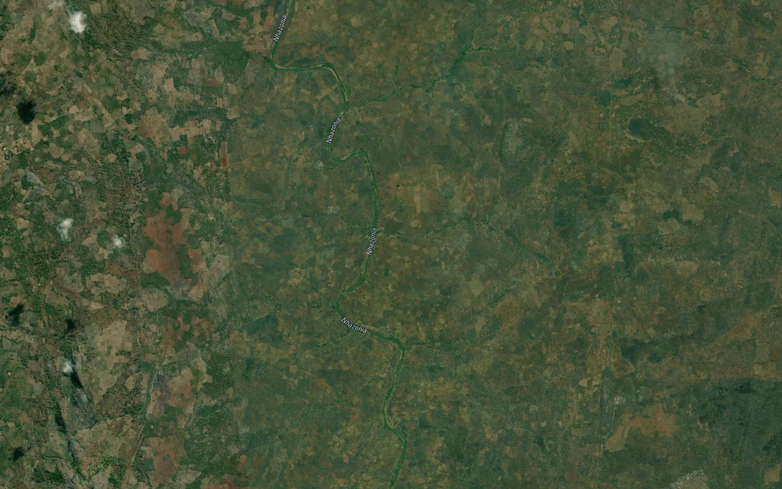 Zauara