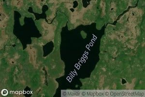 Billy Briggs Pond