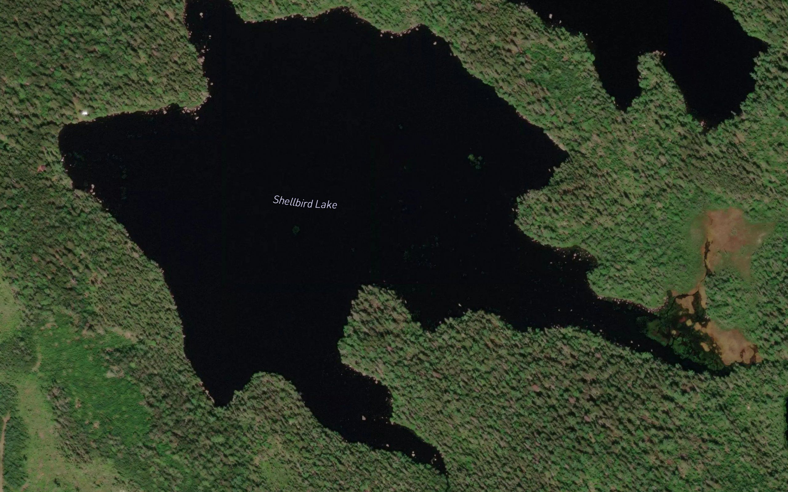 Shellbird Lake