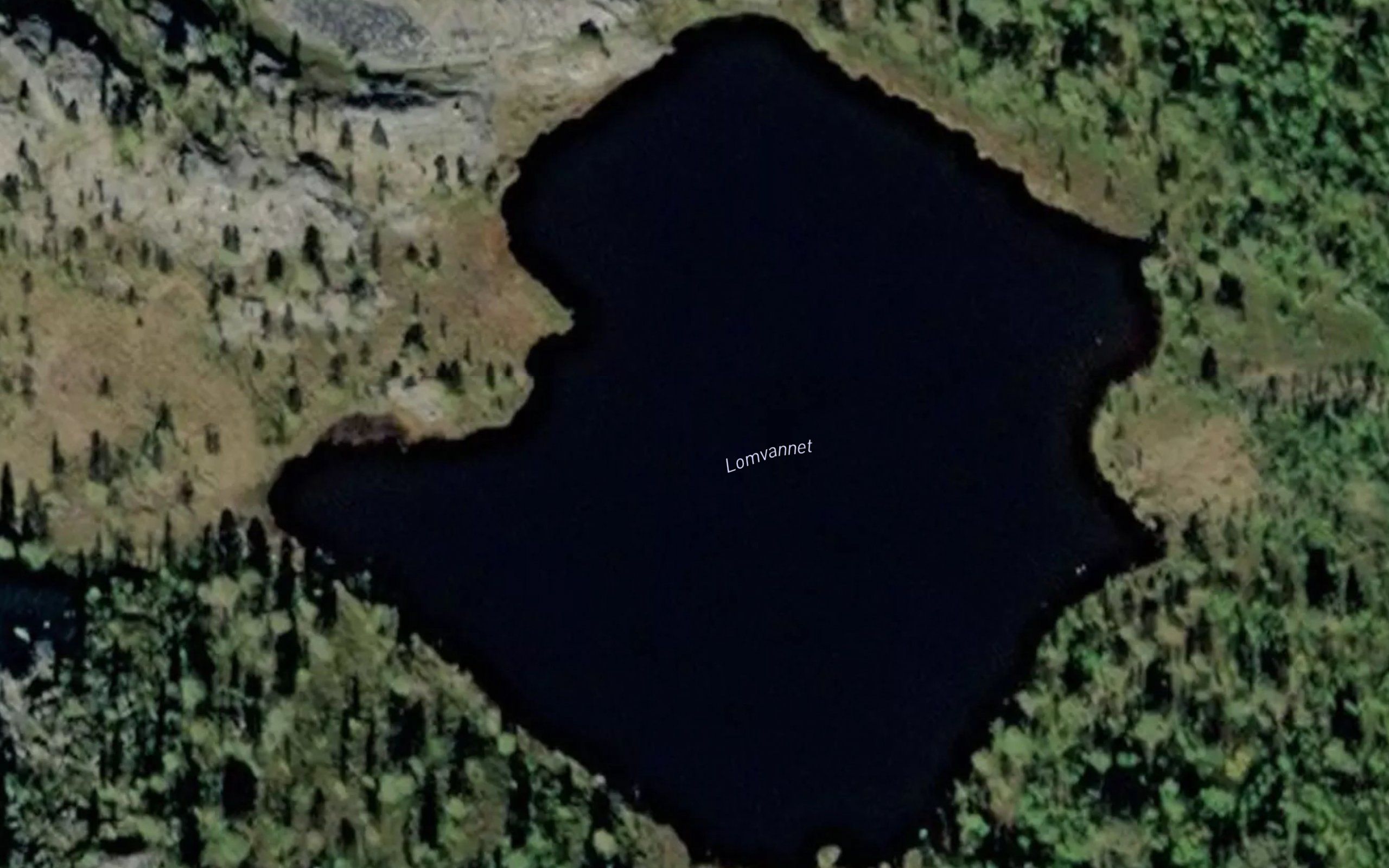 Lomvannet