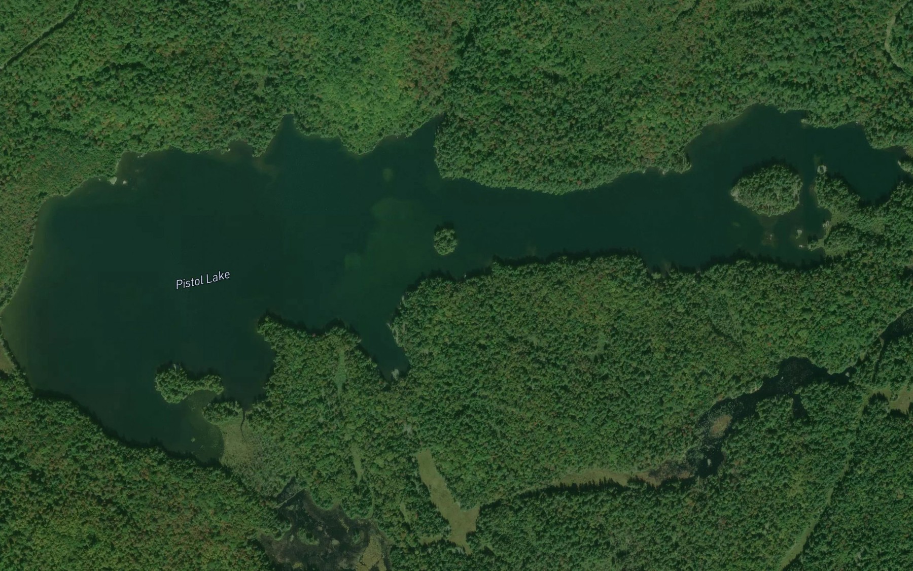 Satellite map of the Pistol Lake