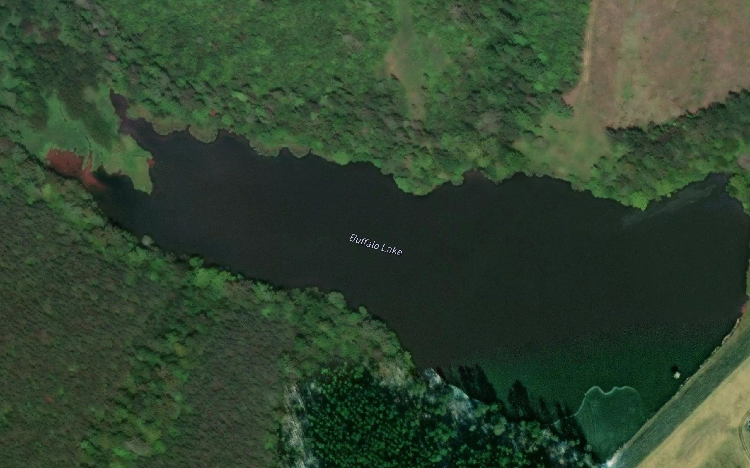 Buffalo Lake